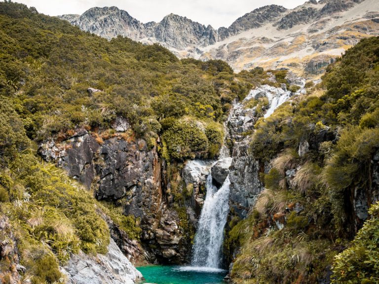 Te Araroa trail / Foto: Sebastien Goldberg (unsplash)