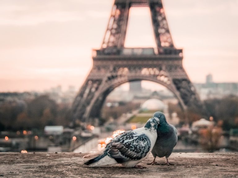 Paris, Francia / Foto: Fabrizio Verrecchia (unsplash)