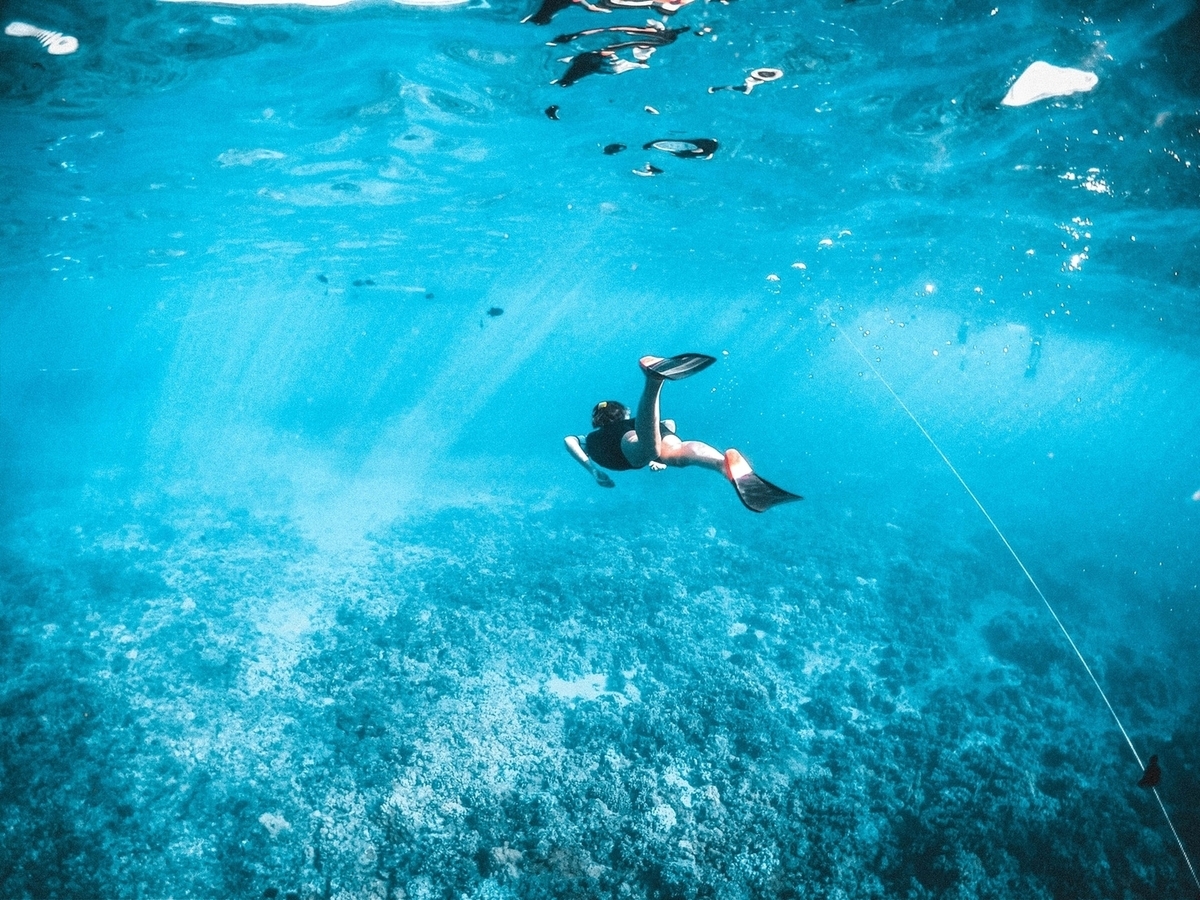 Equipamiento para practicar snorkel