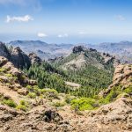 Gran Canaria, Canarias / Foto: Radek (unsplash)