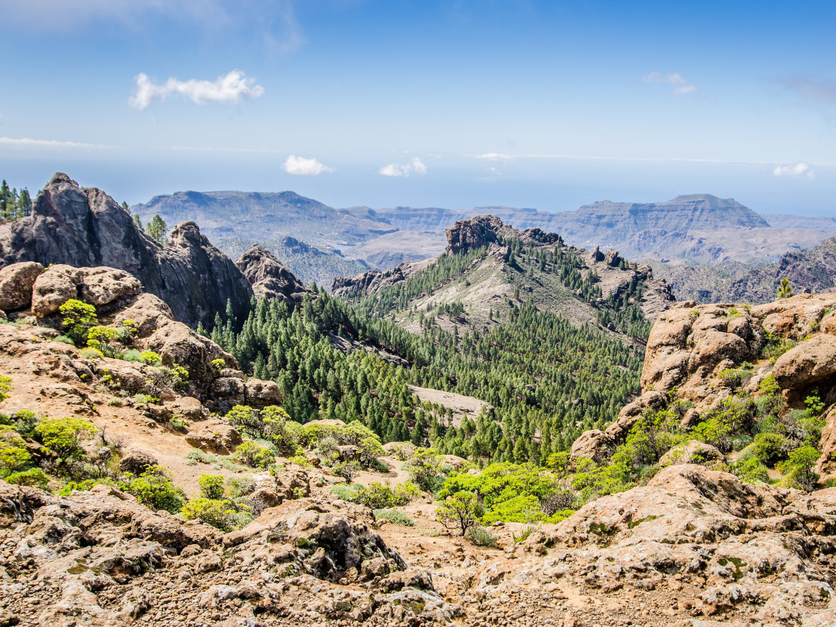 Gran Canaria, Canarias / Foto: Radek (unsplash)