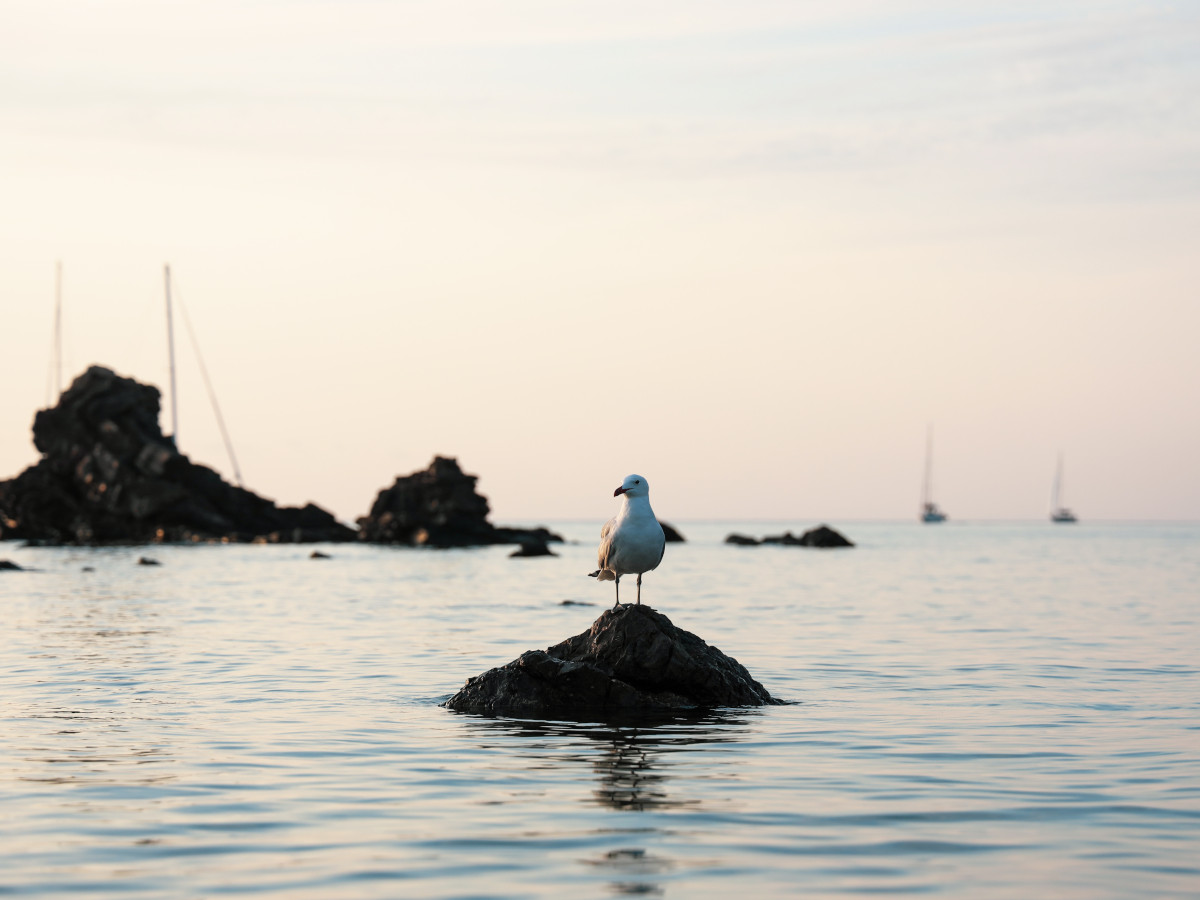 Menorca, Islas Baleares / Foto: Mor Shani-(unsplash)