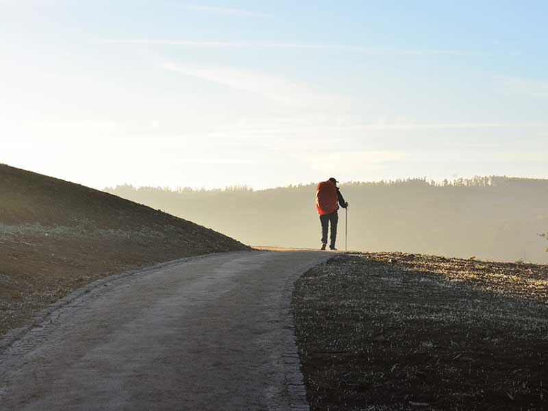 Camino de Santiago Francés / Foto: Jorge Luis Ojeda Flota (unsplash)