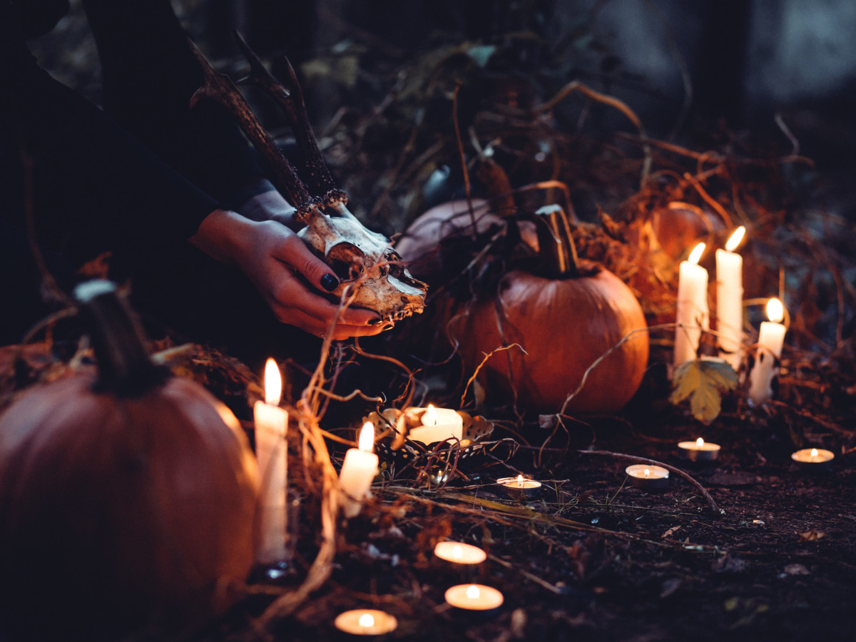 Halloween / Foto: freestocks.org (unsplash)