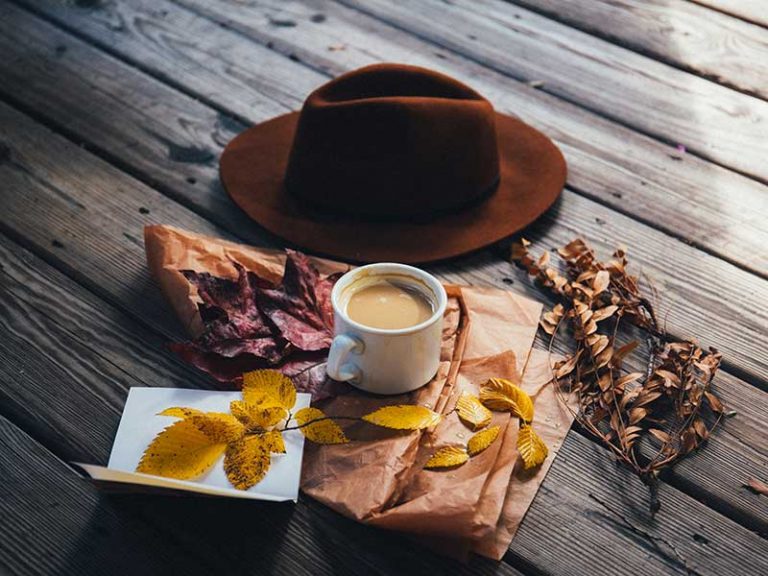 Mejores café gadgets accesorios viajeros / Foto: Alisa Anton (unsplash)