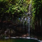 Madeira / Foto: Josefin (unsplash)