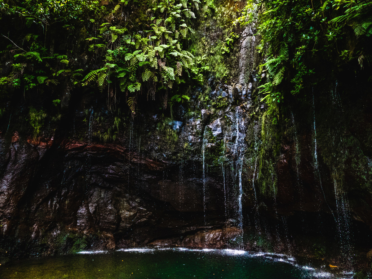 Madeira / Foto: Josefin (unsplash)