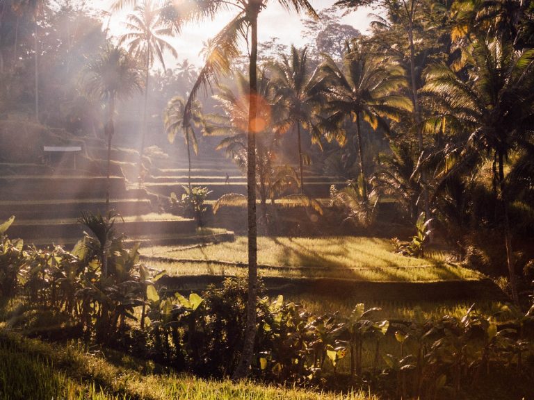 Tegallalang, Bali, Indonesia / Foto: Patrick Craig (unsplash)