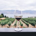 Bodegas y vinos / Foto: Kym Ellis (unsplash)