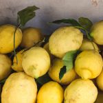 Limones en Sorrento / Foto: Gemma Evans (unsplash)