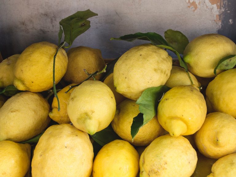 Limones en Sorrento / Foto: Gemma Evans (unsplash)