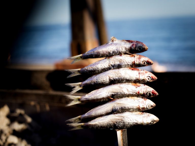 Espeto, delicia de la gastronomía de Málaga/ Foto de Lorenzo Esteban en Pexels