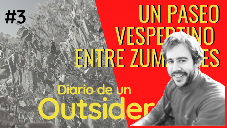 #3# D' Outsider_un paseo vespertino entre zumaques