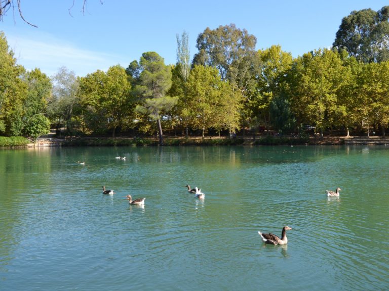 Albufera, Lagos de Anna. Foto: Joanbanjo, [CC BY-SA] via Wikimedia Commons