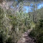 Sendero de Los Estrechos Montanejos