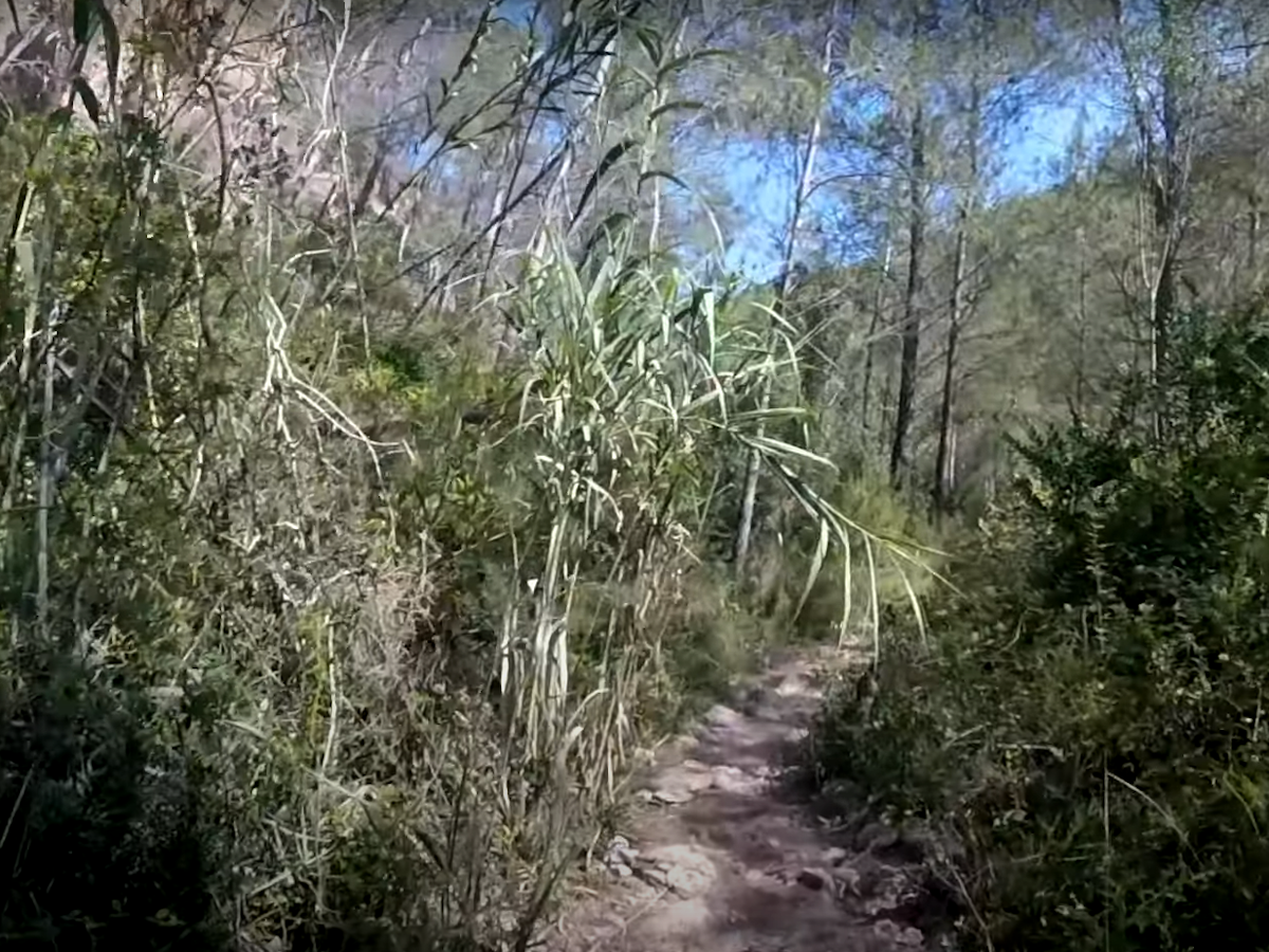 Sendero de Los Estrechos Montanejos