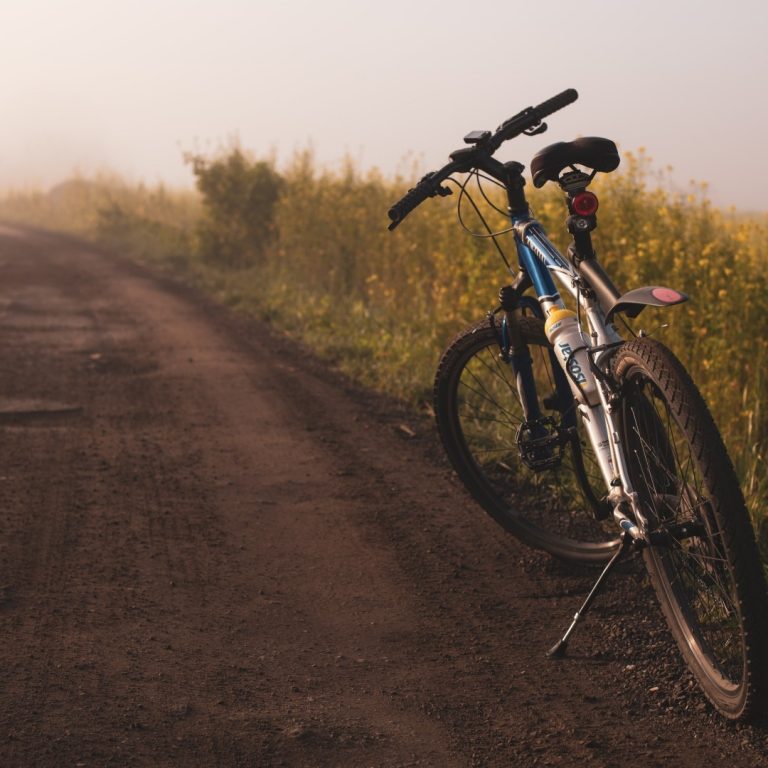 bicicleta de paseo